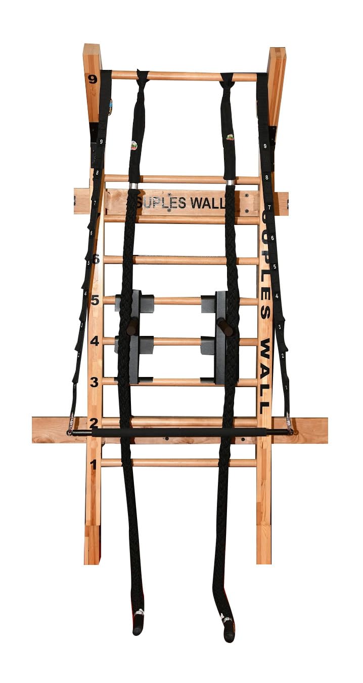 Wood Wall Bar System with Dip Bar and Training Ropes