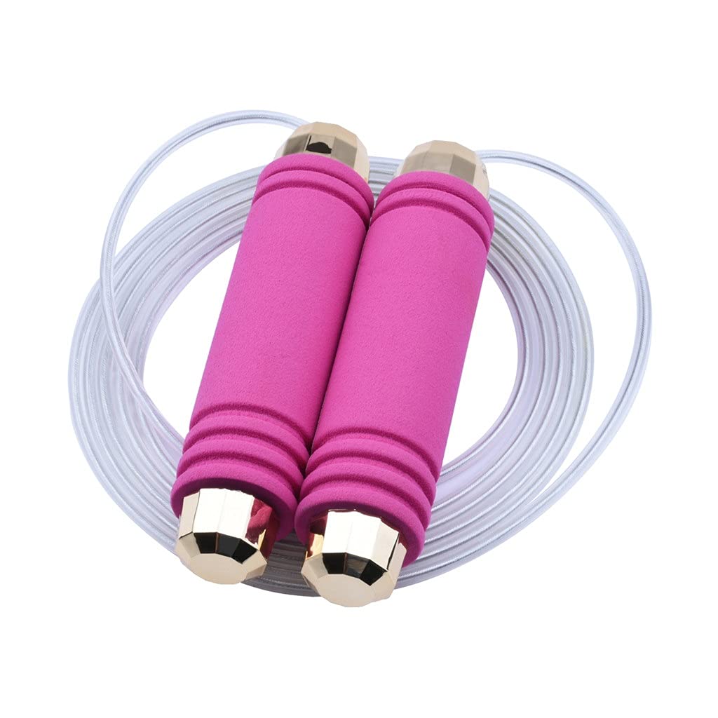 Heavy Weighted Jump Rope for Boxing and Fitness Training